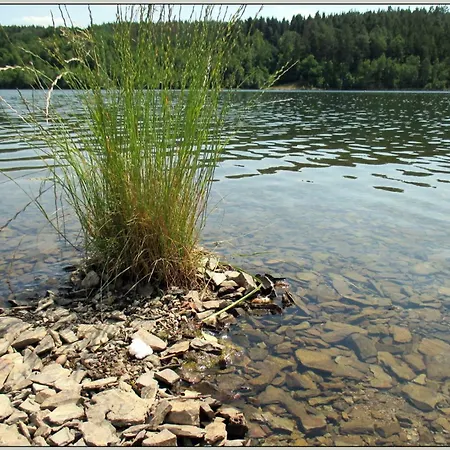 Direkt Am Wasser Zeulenroda-Triebes