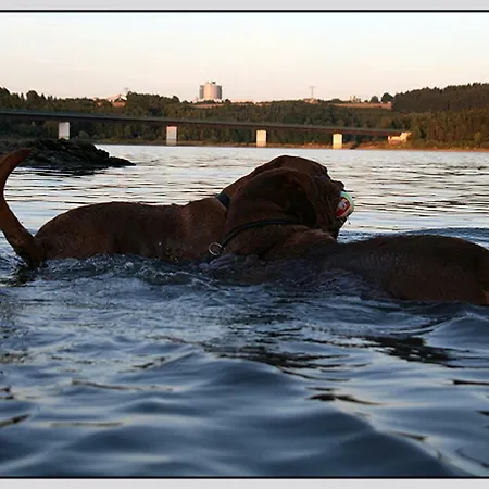 Direkt Am Wasser Holiday home *