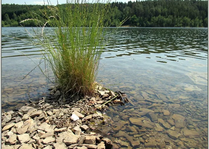 Direkt Am Wasser Zeulenroda-Triebes