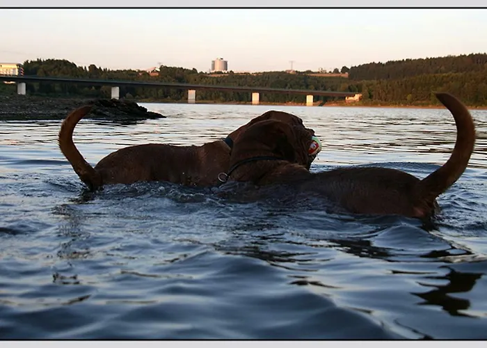 Direkt Am Wasser Tatil Evi *